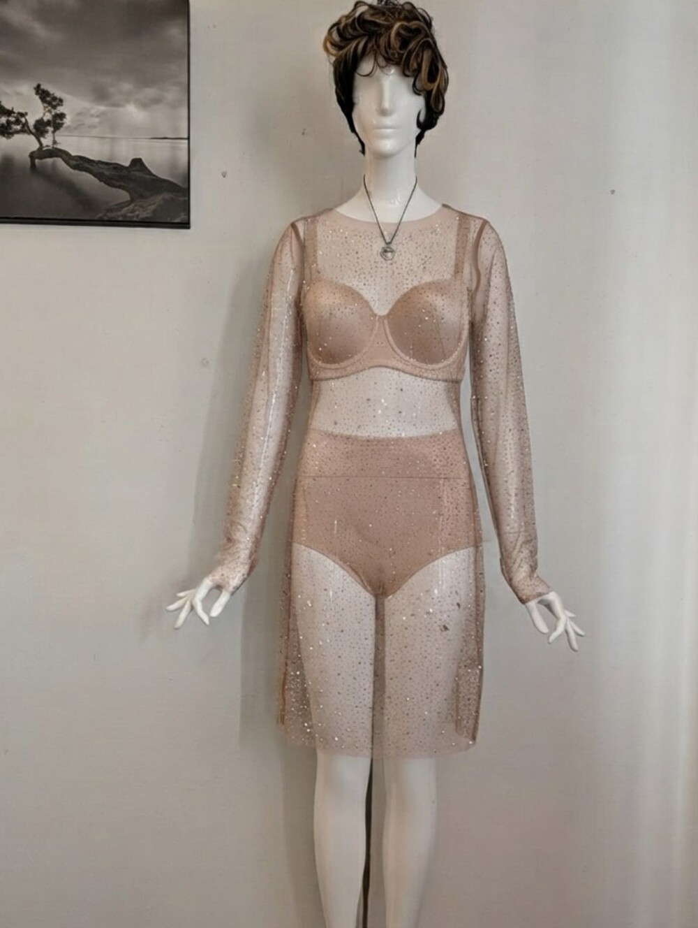 ​TOP CHIC Nude Rhinestone Sheer Mesh Long Sleeve Midi Dress Glam Festival Size L